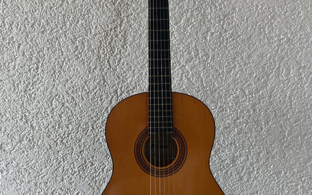 Gitarre